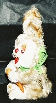 bunnicula